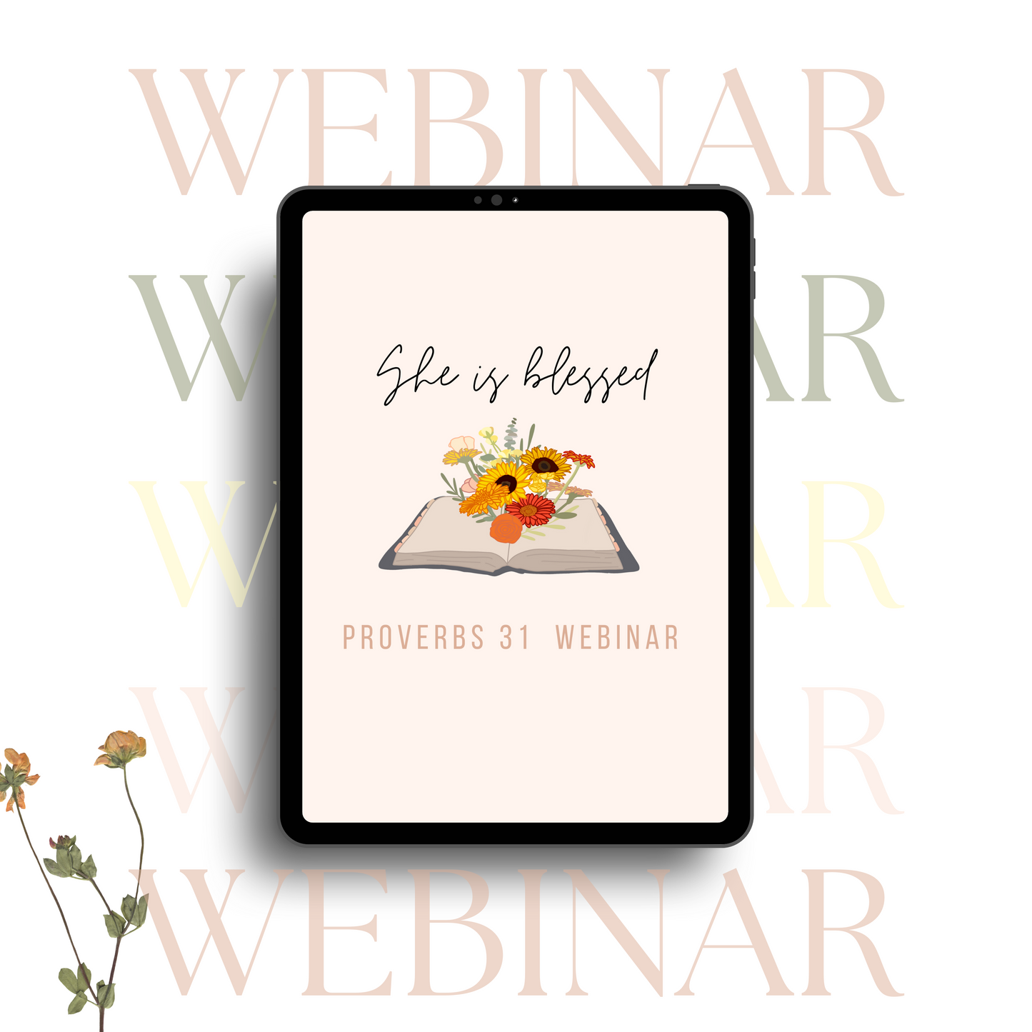 Proverbs 31 Webinar