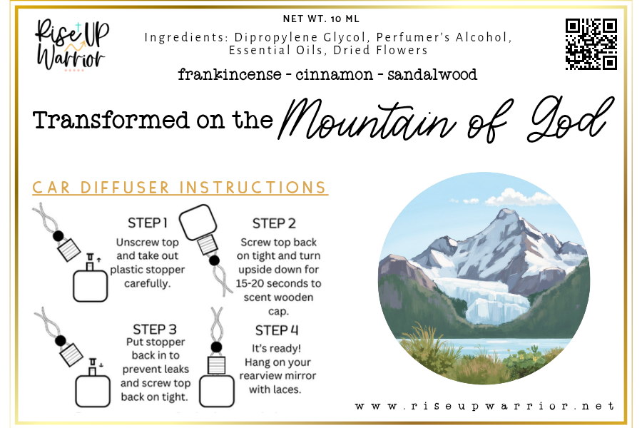 Surrounded by God Car Diffuser Collection