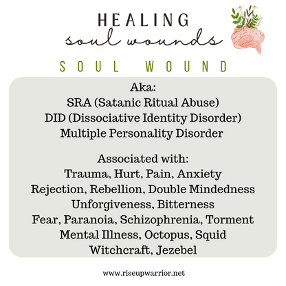 Healing Soul Wounds E-Course