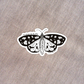 Transformed by the Glory Moth Sticker